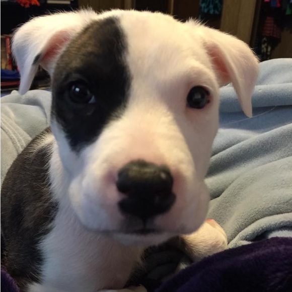 🌟🦴Sloan’s recovery donation 🦴❤️ - Picture 3 of 13